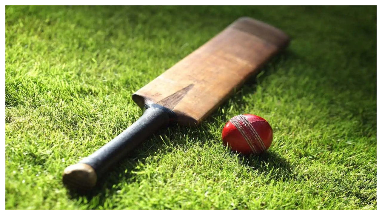 Fake IPL: ఐపీఎల్ లాంటి ఐపీఎల్ ఆడి.. రష్యన్లకు గుజరాత్ గ్రామస్తుల టోకరా