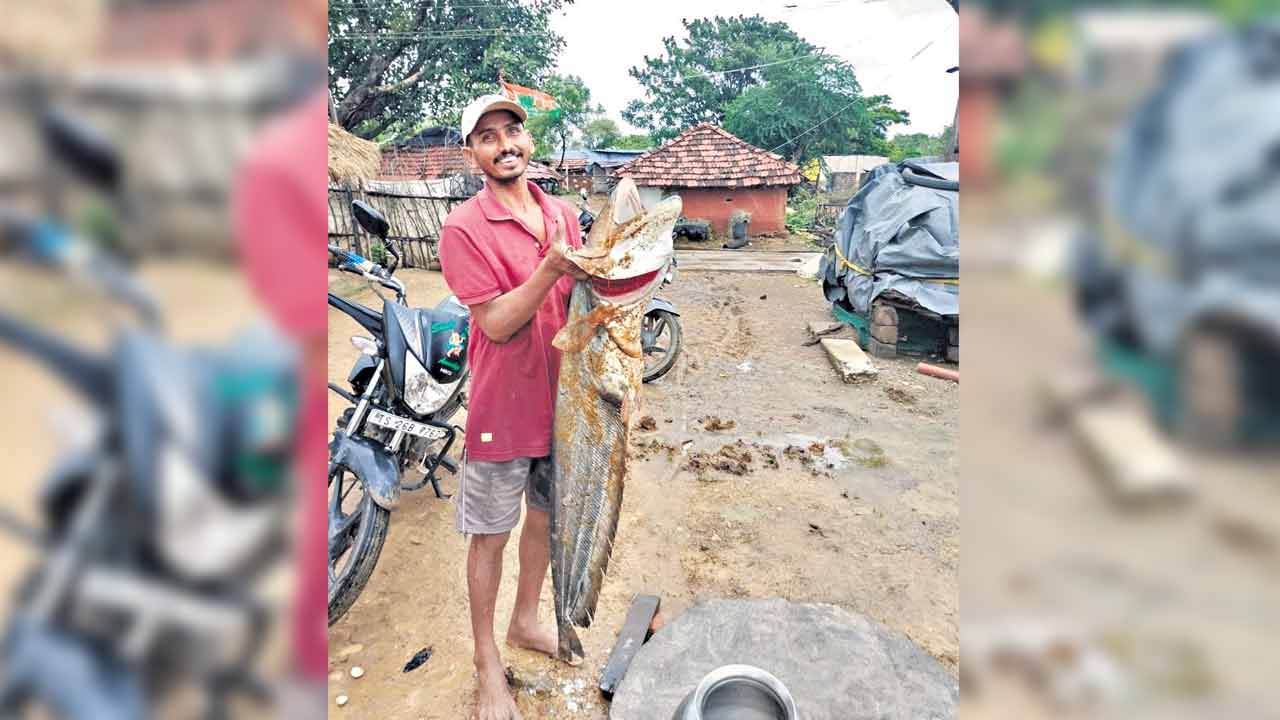 వామ్మో.. ఎంత పెద్ద చేప!