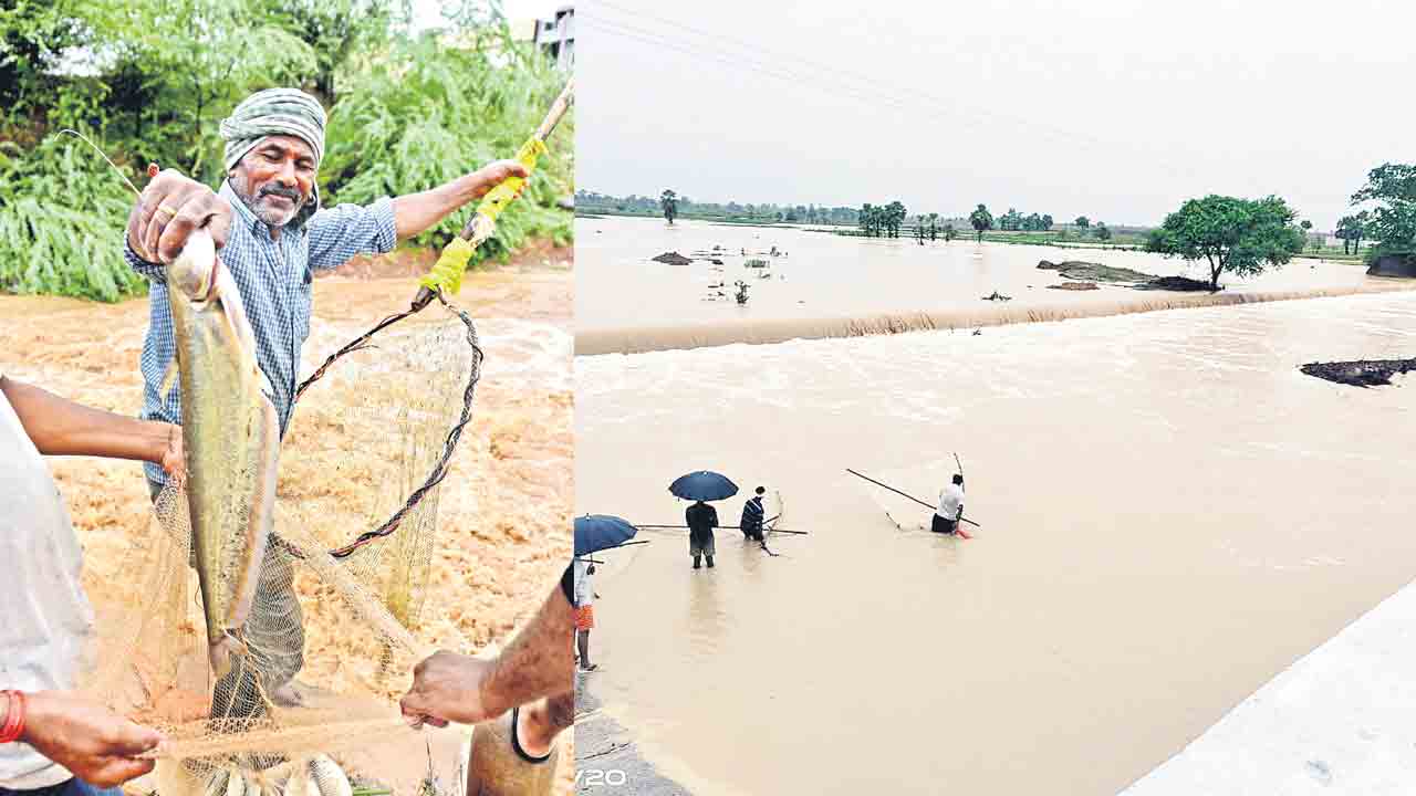ఎడతెరిపిలేకుండా..