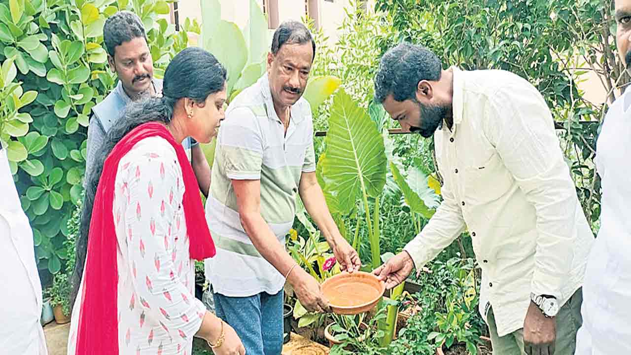 పరిసరాల పరిశుభ్రత పాటిద్దాం..