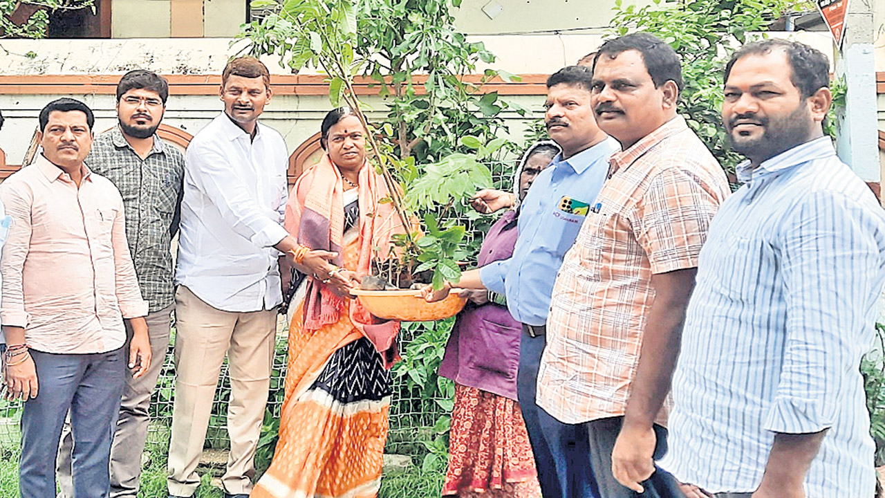 2.68 లక్షల మొక్కలు నాటడమే లక్ష్యం