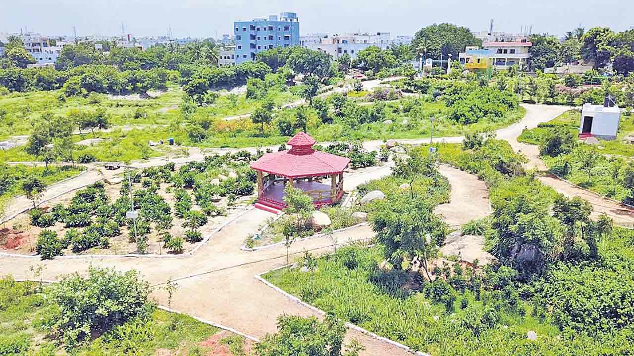 పచ్చందాలు ఆస్వాదిద్దాం