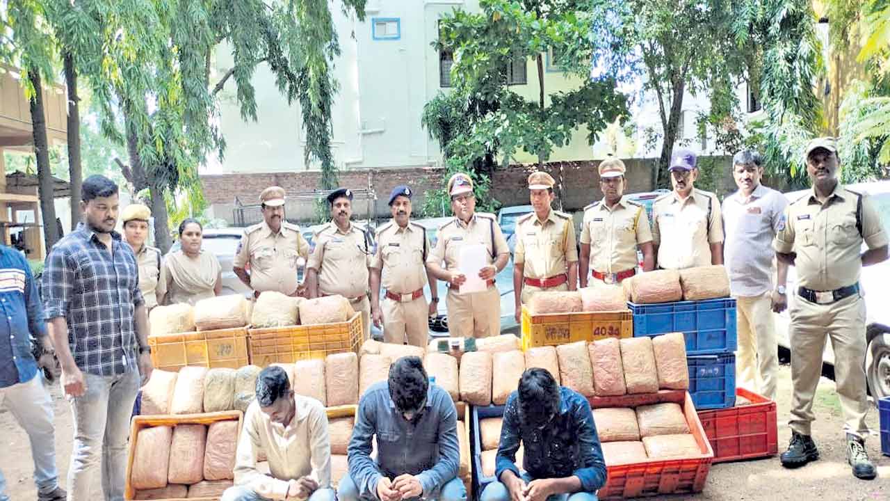 చేపల మాటున.. గంజాయి మూటలు..!