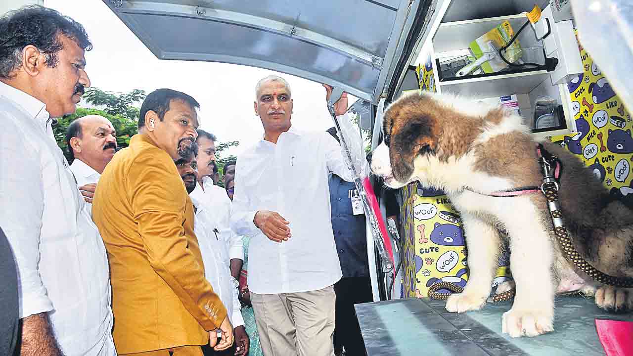 దళిత బంధు నిధులతో..గ్రూమింగ్‌ ఆన్‌ వీల్స్‌
