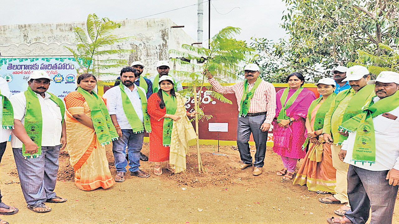 మొక్కలే జీవకోటికి ప్రాణ వాయువు