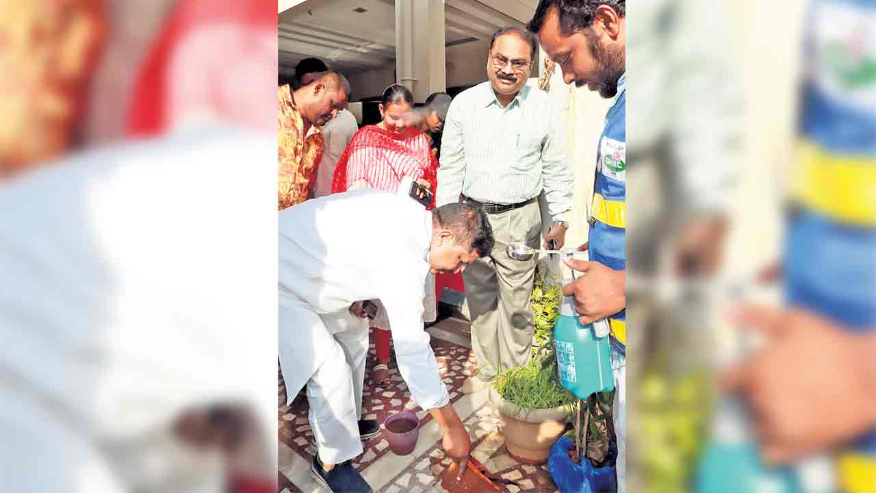 పరిసరాలు పరిశుభ్రంగా ఉంచుకోవాలి