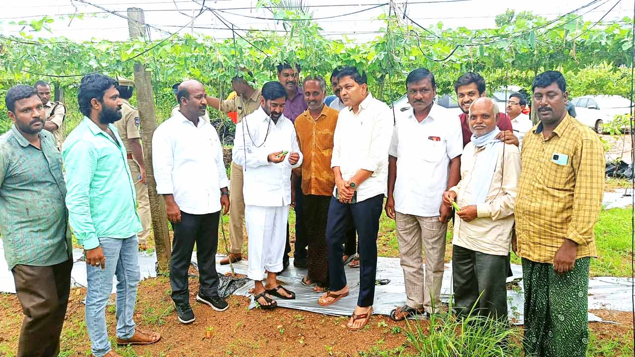 సేంద్రియ సాగు విధానంపై..రైతులకు అవగాహన కల్పించండి