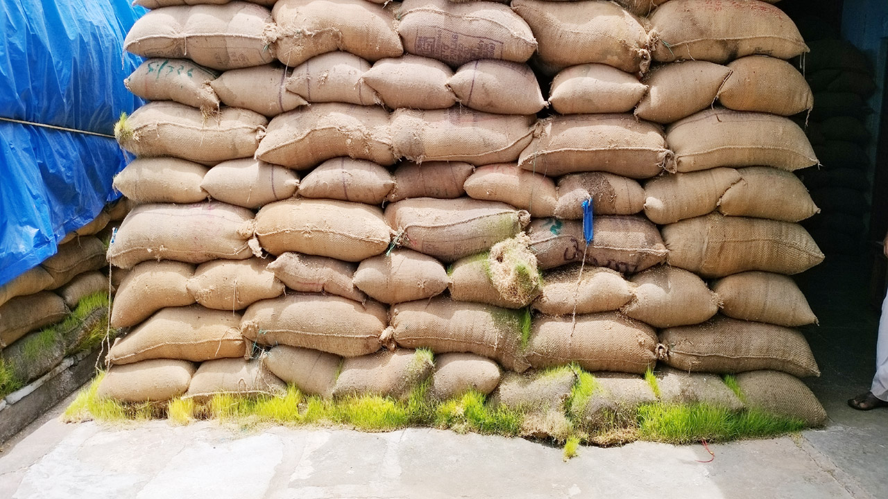 ఎఫ్‌సీఐ కొర్రీలు.. మొలకెత్తిన నిల్వలు