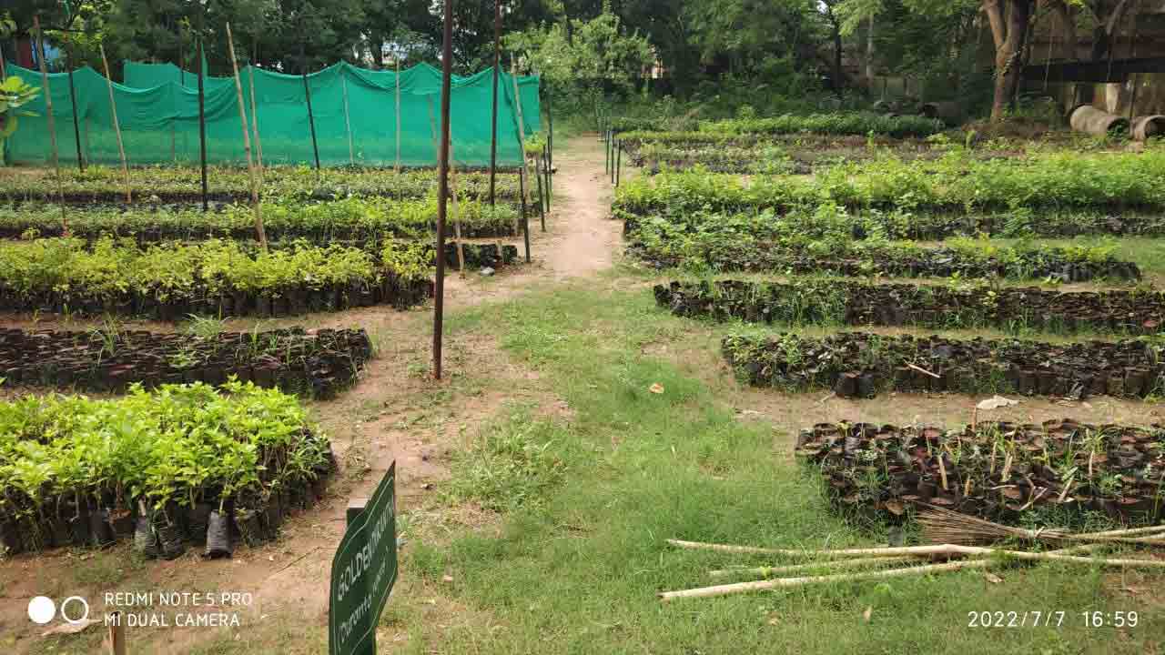 ‘హరిత’ పండుగకు వేళాయె