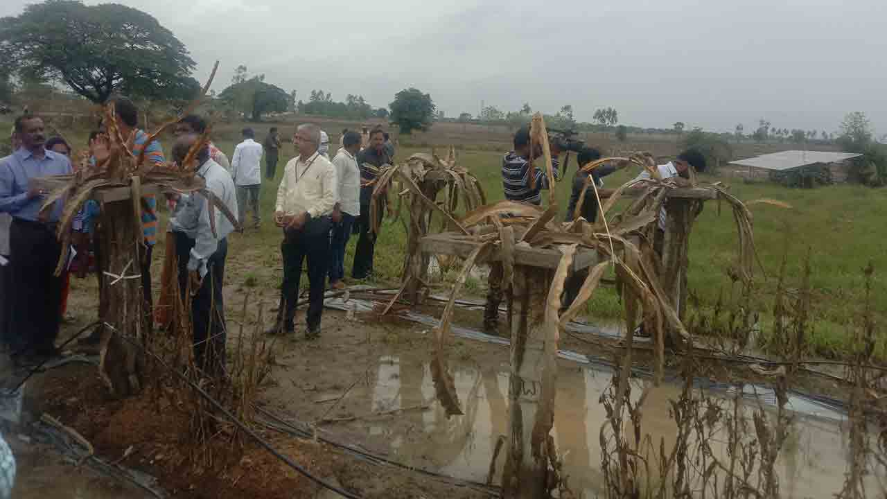 పంటలు నీటిపాలు