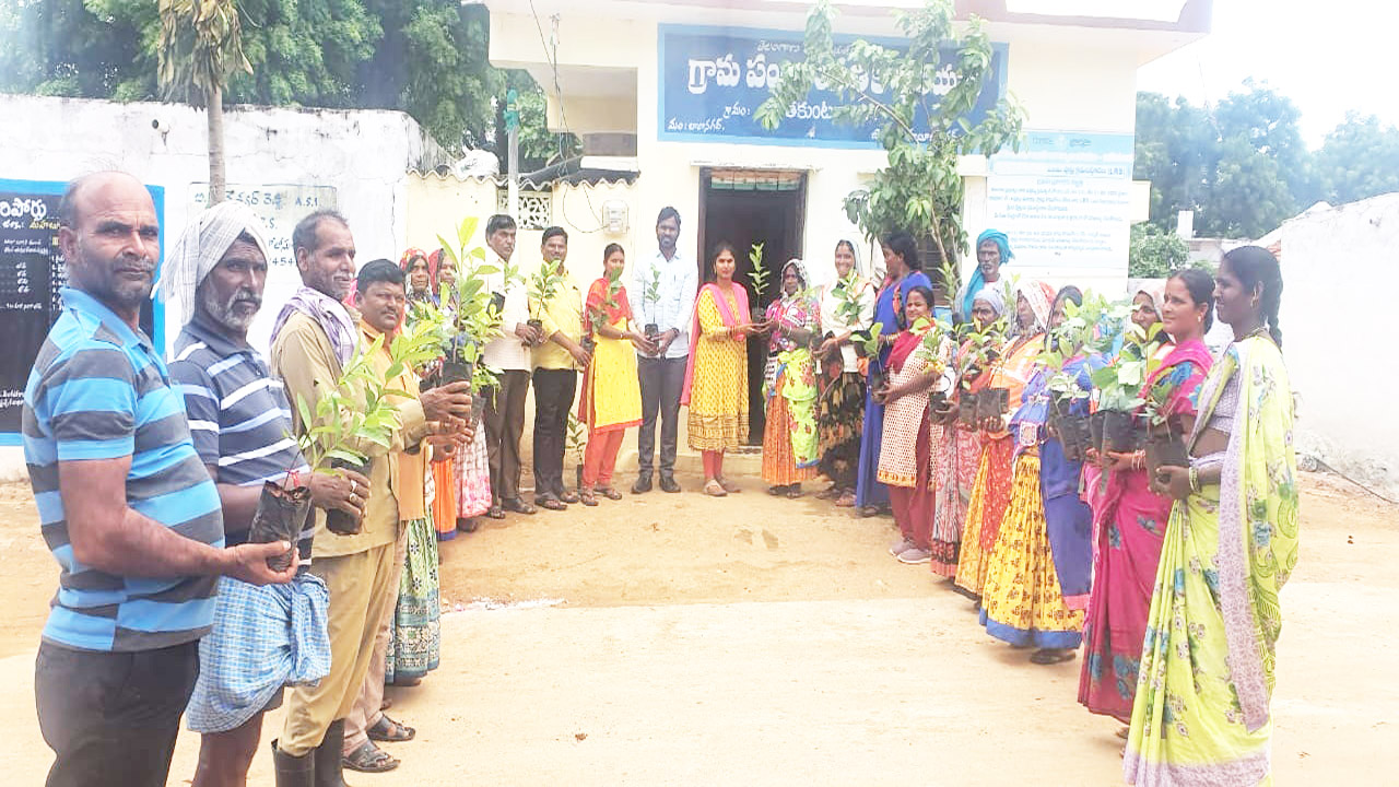 ప్రతి మొక్కనూ సంరక్షించాలి