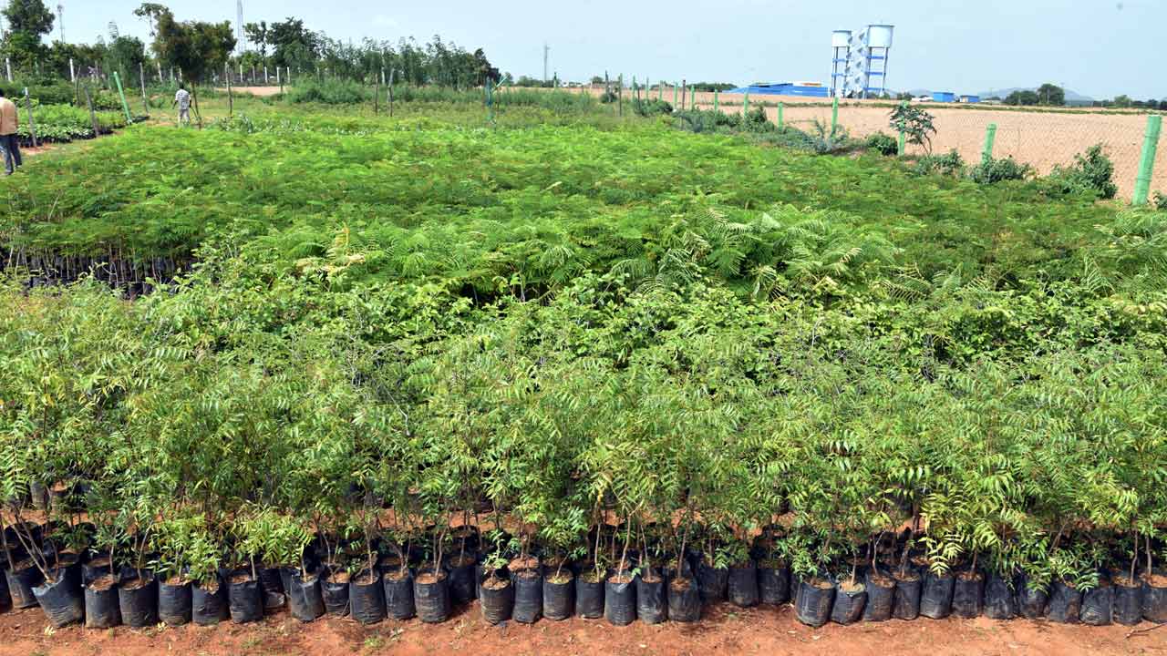 హరితహరానికి రెడీ