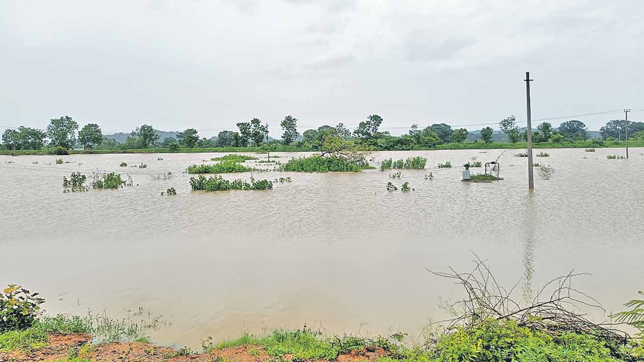 అలుగు పారుతున్న చెక్‌డ్యాంలు
