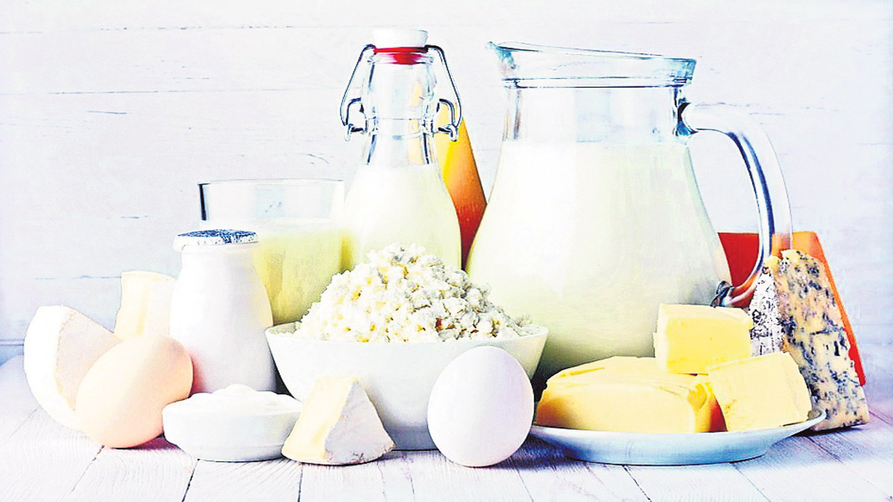 సచ్చేదినాలే!