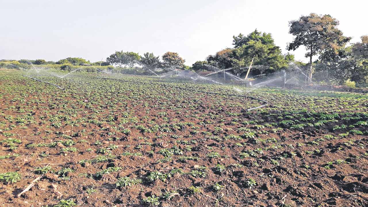 పండుగలా వ్యవ‘సాయం’