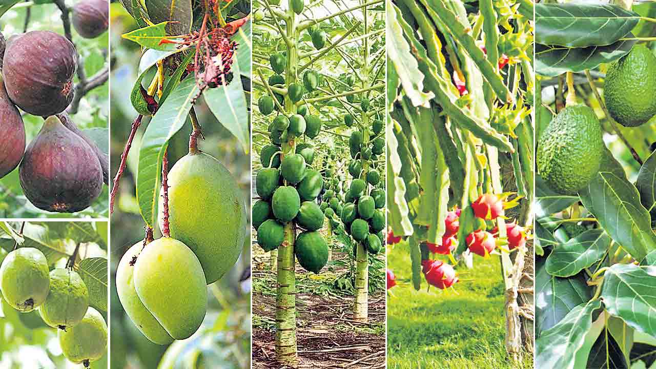 ఆగ్రహం… అనర్థం