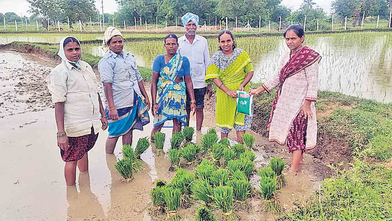 సాగులో నూతన పద్ధతులు చేపట్టాలి
