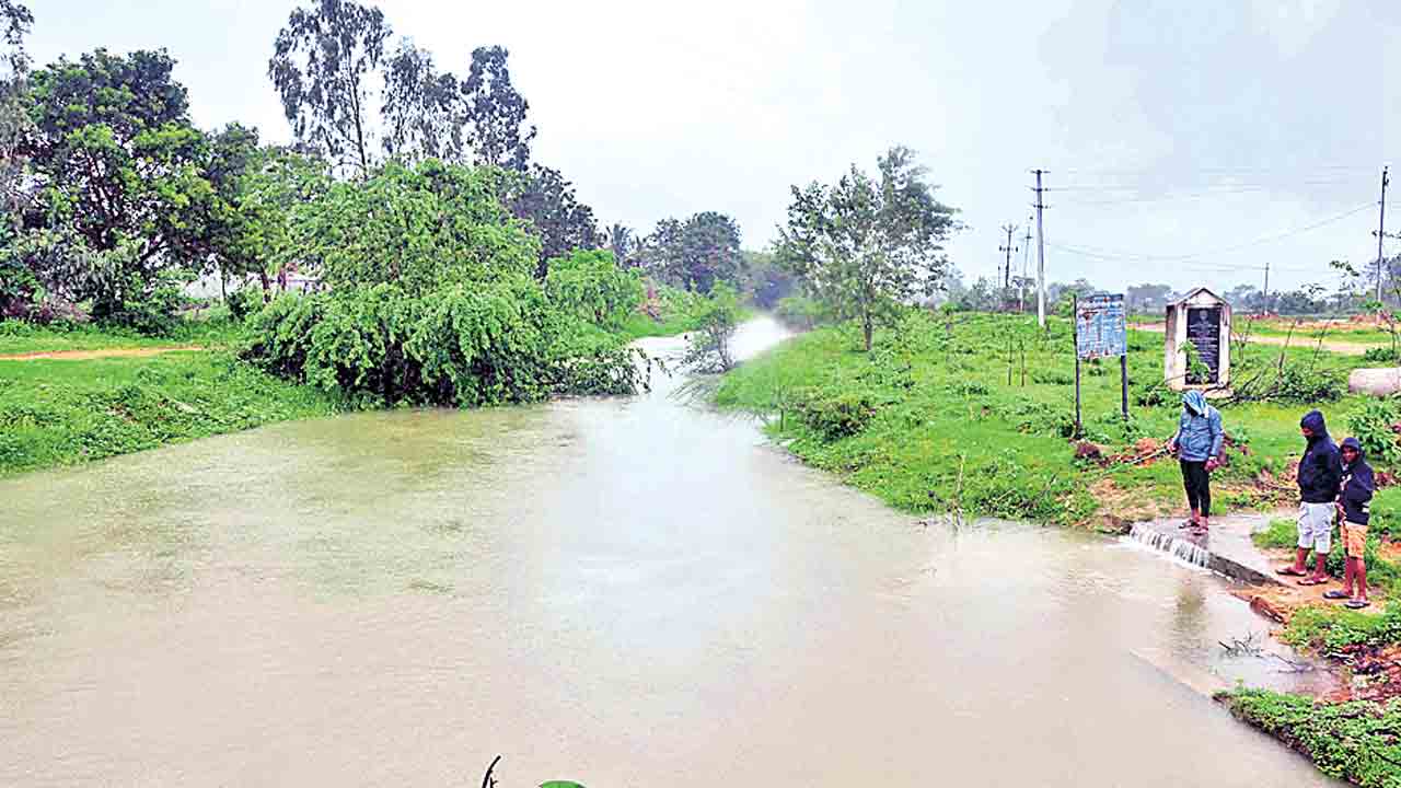 ముసురుకుంది..!