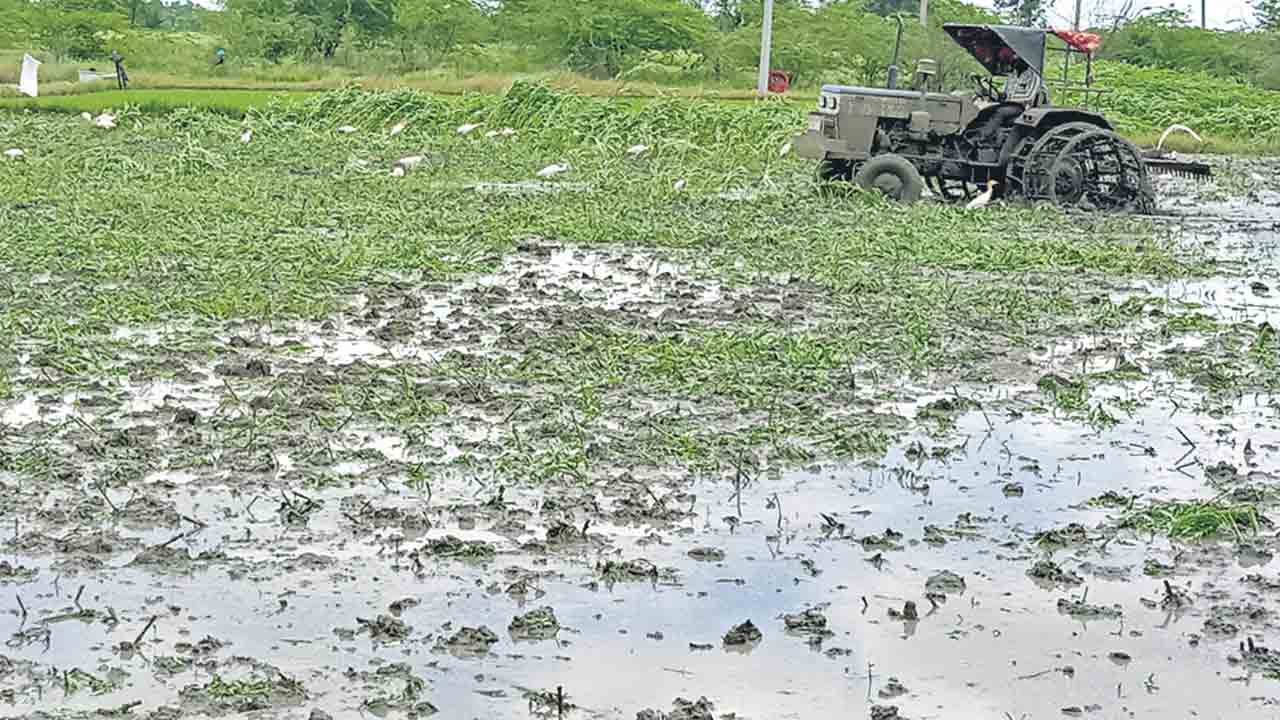 కేజ్‌వీల్స్‌తో జాగ్రత్త