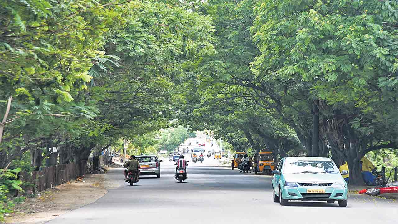 ప్రకృతి ఒడిలో.. పచ్చని తెలంగాణ