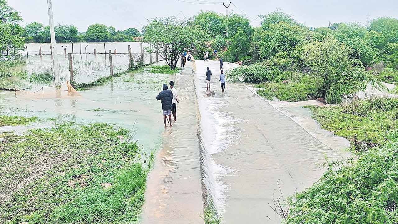 తడిసి ముద్దయిన ఉమ్మడి జిల్లా