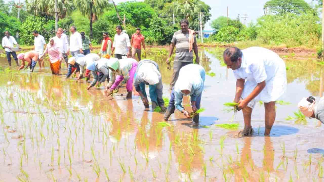మ‌హిళా కూలీల‌తో క‌లిసి వ‌రి నాటేసిన మంత్రి కొప్పుల ఈశ్వ‌ర్