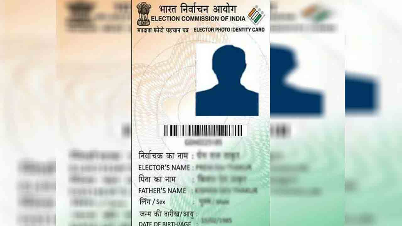 Vote id. Voter ID. Voter ID Card. Voter Card India. Mexican voter ID example.