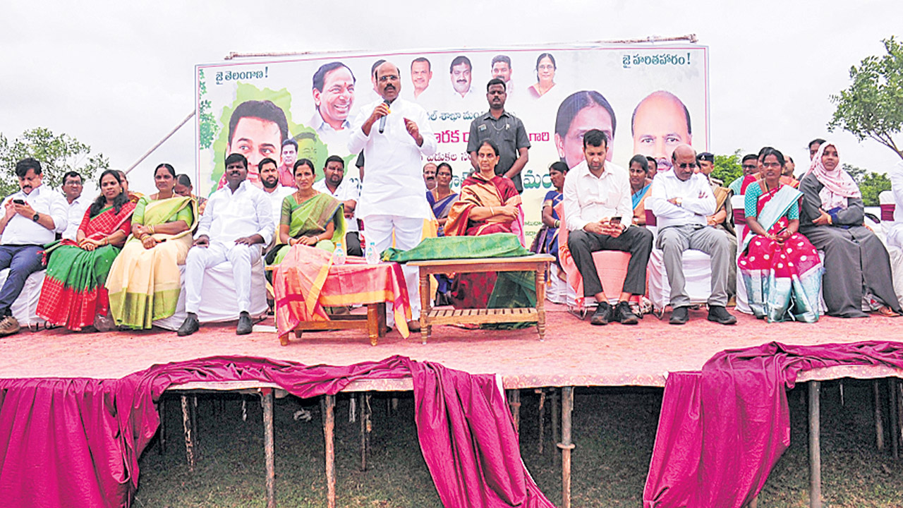 బర్త్డే వేడుక..  పచ్చని  కానుక