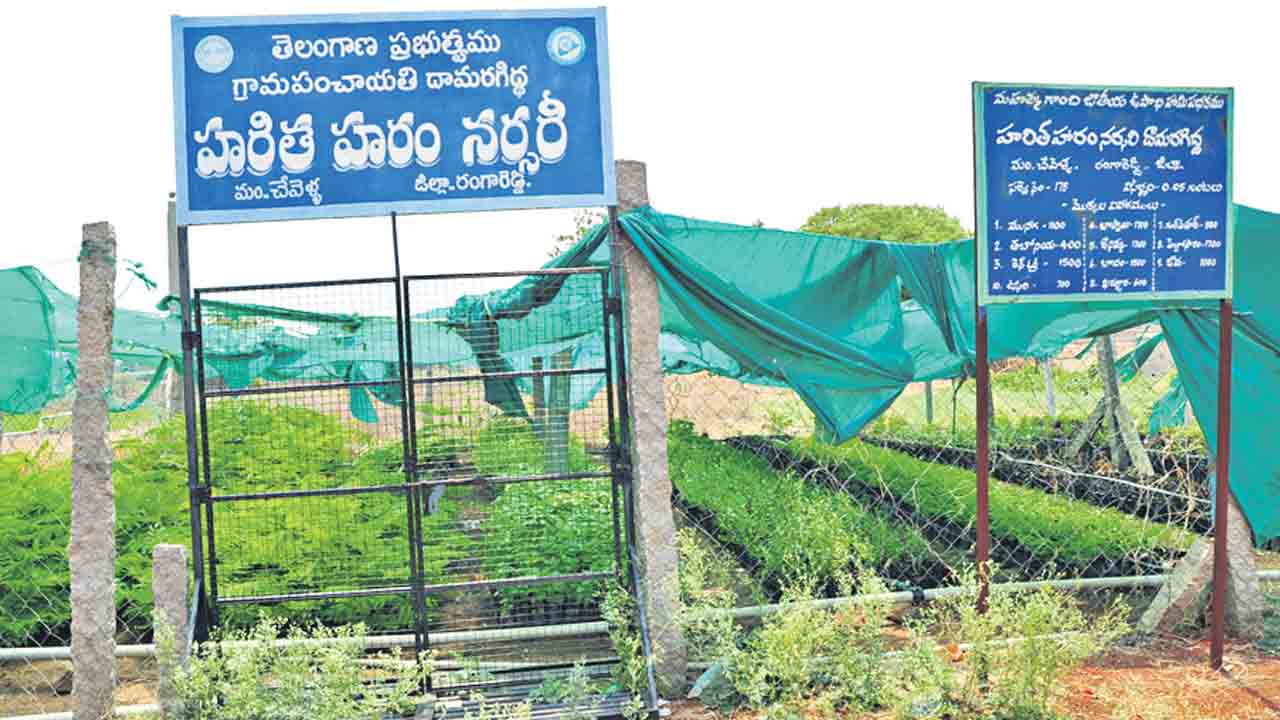 హరితహారానికి సిద్ధం