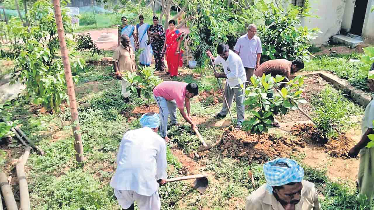 ఉద్యమంలా హరితహారం పనులు