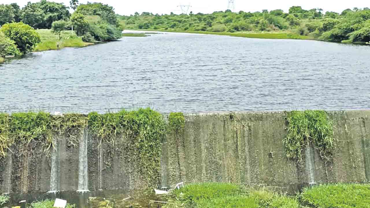 చెక్ డ్యాంలకు.. జలకళ