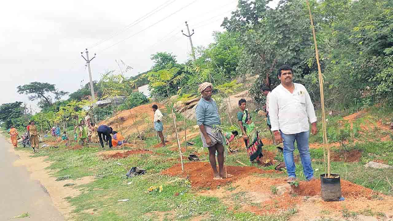 ఇరువైపులా.. కనువిందుగా..