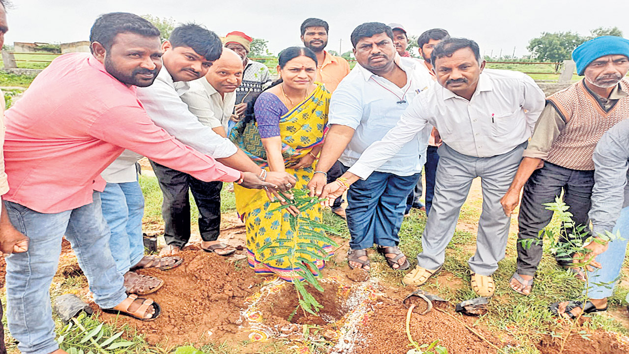 మొక్కలు నాటి సంరక్షించాలి