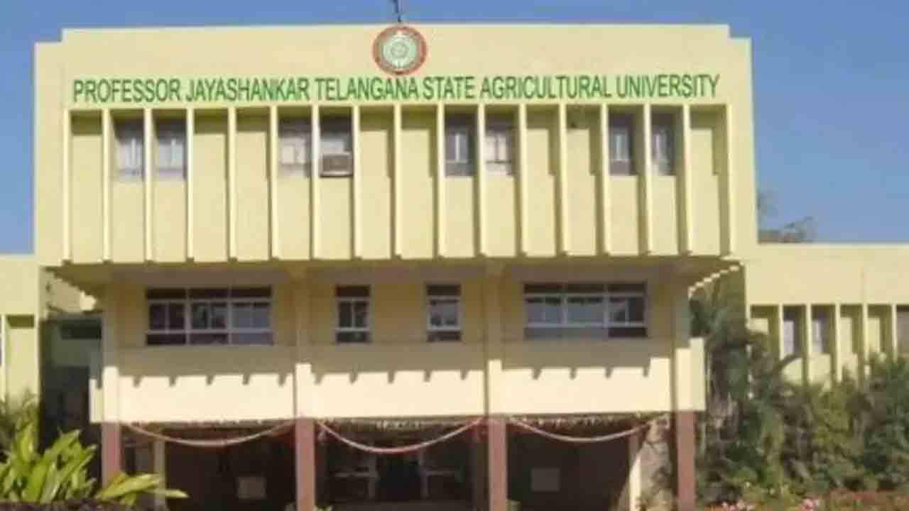 ప్రొఫెసర్ జయశంకర్ వర్సిటీలో ర్యాగింగ్ కలకలం