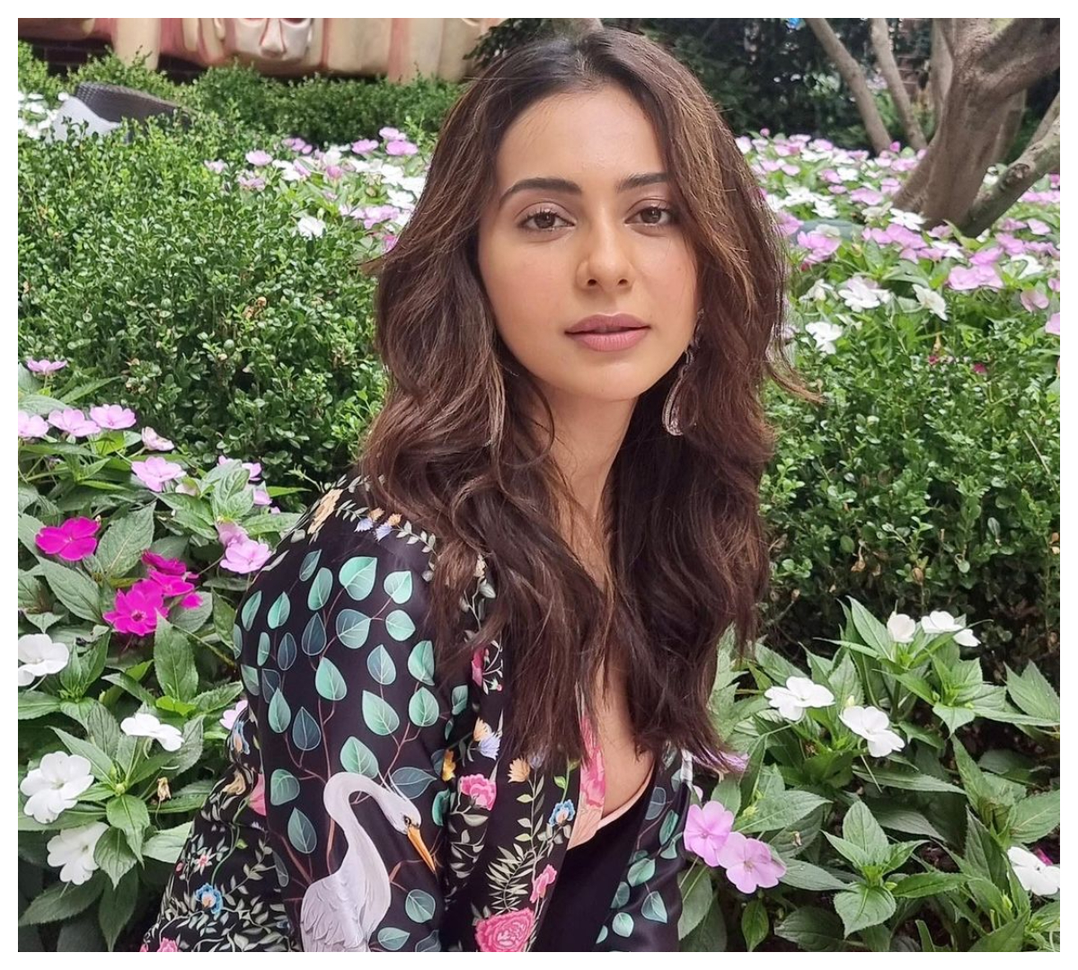 Rakul Preet Singh | రకుల్‌ ప్రీత్‌ సింగ్ అందాల‌కు నెటిజ‌న్లు ఫిదా..