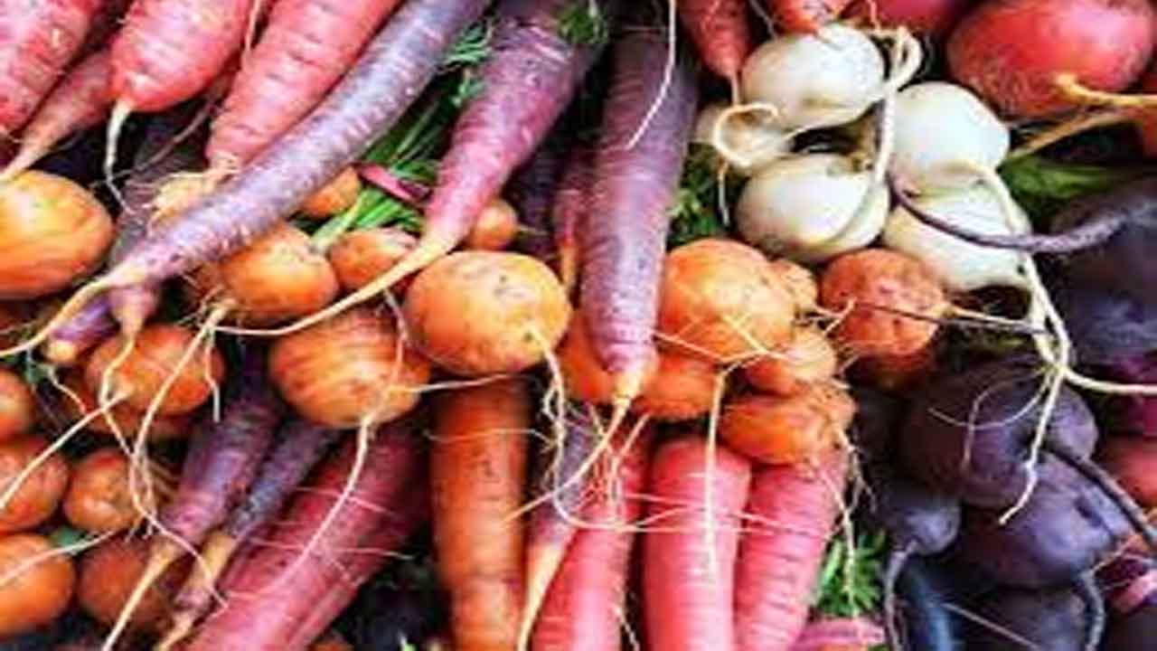 Tuberous vegetables | దుంపజాతి కాయగూరల్లో విత్తనోత్పత్తి ఇలా..!