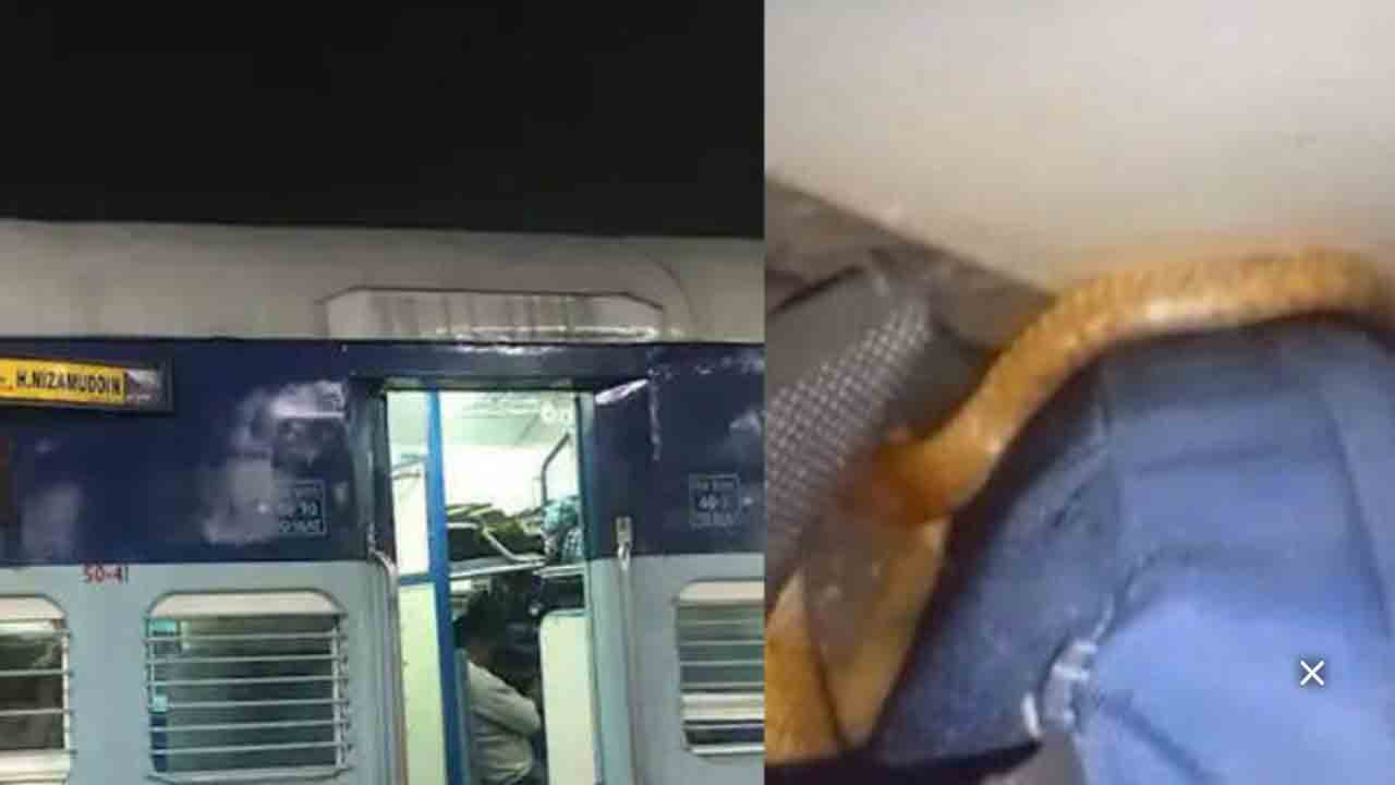 రైలులో పాము… ప్రయాణికుల భయాందోళనతో స్టేషన్‌లో నిలిపి వెతికిన సిబ్బంది