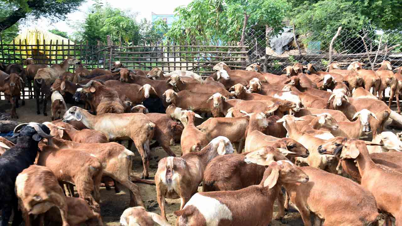 రెండో విడుతకు శ్రీకారం