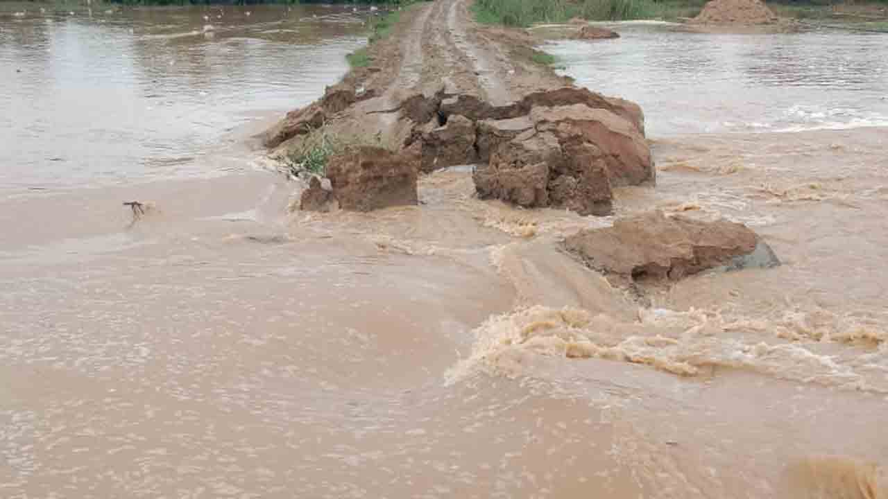 దంచికొడుతున్న వానలు