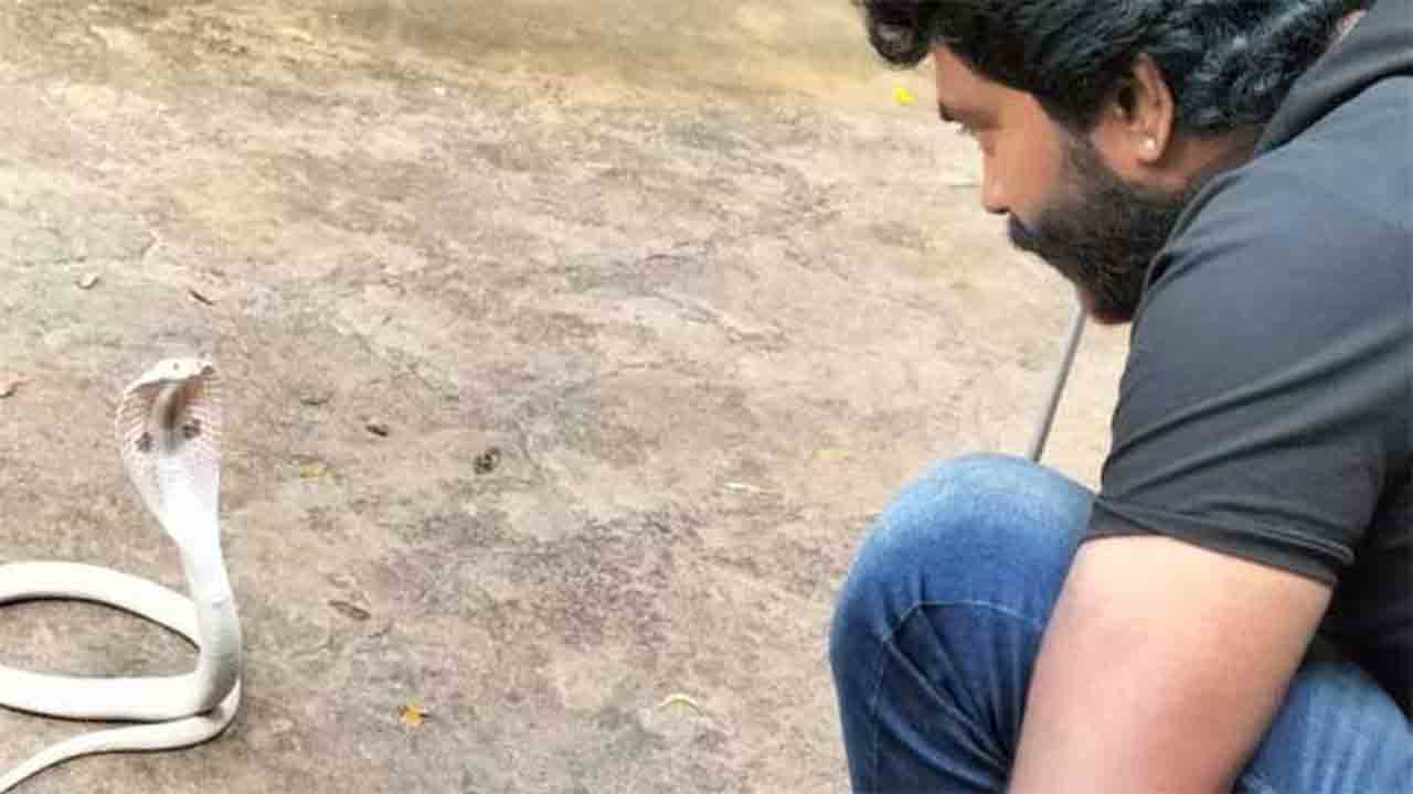 White Snake | షిమోగాలో కనిపించిన అరుదైన శ్వేతనాగు