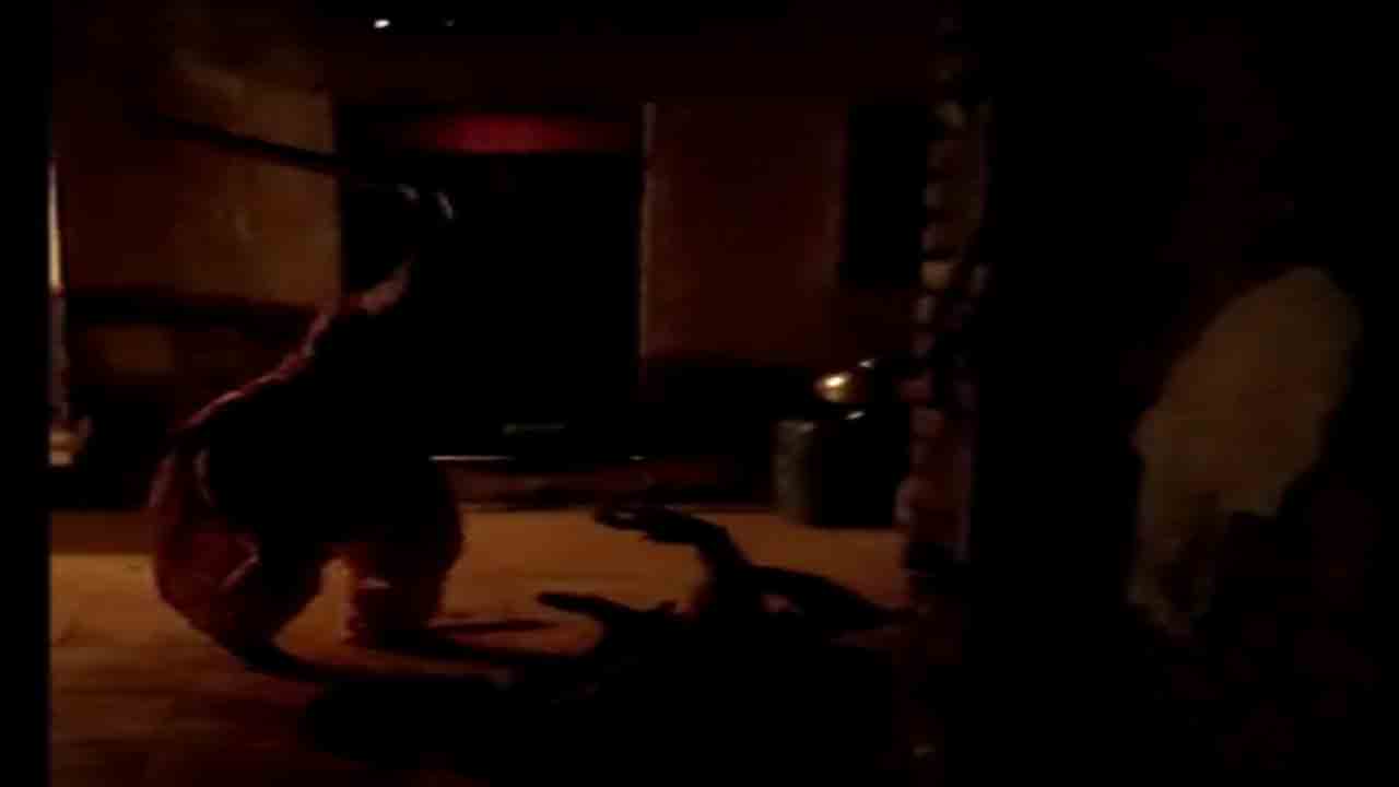 భర్తను క్రికెట్‌ బ్యాట్‌తో చితకబాదిన భార్య… ఇద్దరి ఫిర్యాదులపై కేసు నమోదు