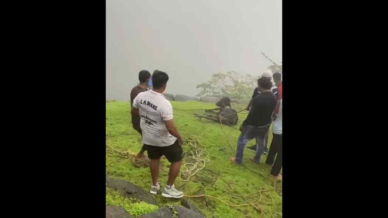 Viral video: భారీ వ‌ర్షంలో మూడురోజులుగా లోయ‌లోనే లేగ‌దూడ‌.. ప్రాణాల‌కు తెగించి కాపాడిన యువ‌కులు!!