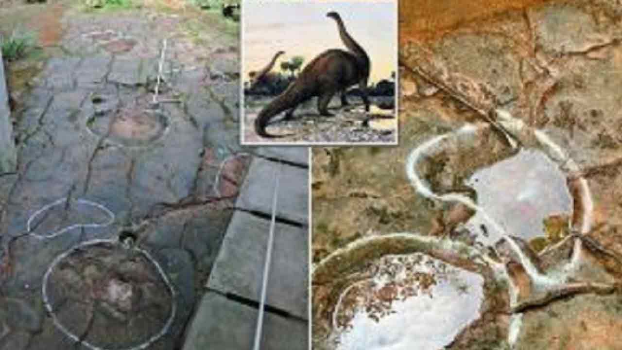 Trending News: రెస్టారెంట్‌లో భోజ‌నం చేసేందుకు వెళ్లాడు.. ప్ర‌పంచంలోనే అతిపెద్ద డైనోసార్ పాద‌ముద్ర‌ల‌ను గుర్తించాడు..
