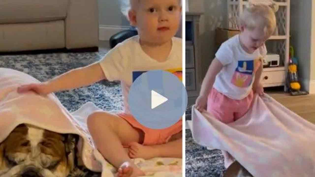 Viral Video:  కుక్క‌కు చ‌లేస్తుంద‌ని ఈ చిన్నారి ఏం చేసిందంటే?