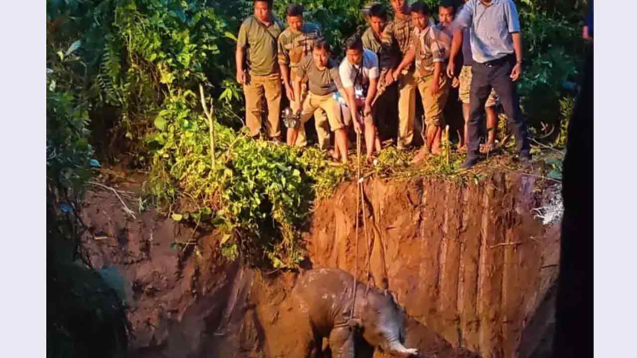 Viral video:  గుంత‌లో ఇరుక్కుపోయిన ఏనుగుపిల్ల‌.. అర్ధ‌రాత్రి నాలుగు గంట‌ల‌పాటు క‌ష్ట‌ప‌డి కాపాడిన ఫారెస్ట్ అధికారులు!!