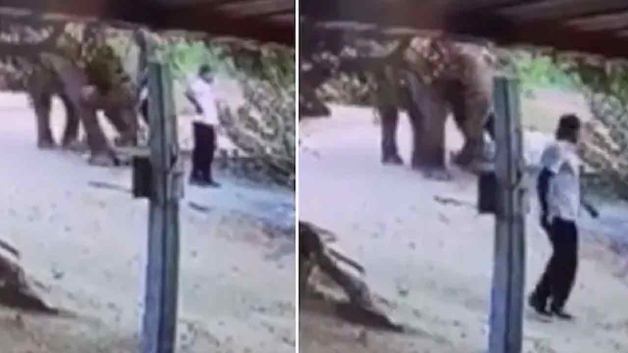 Viral Video: ఏయ్ పక్కకు జరుగు.. ఈ ఏనుగు ఏంచేసిందో చూస్తే నవ్వాపుకోలేరు!!