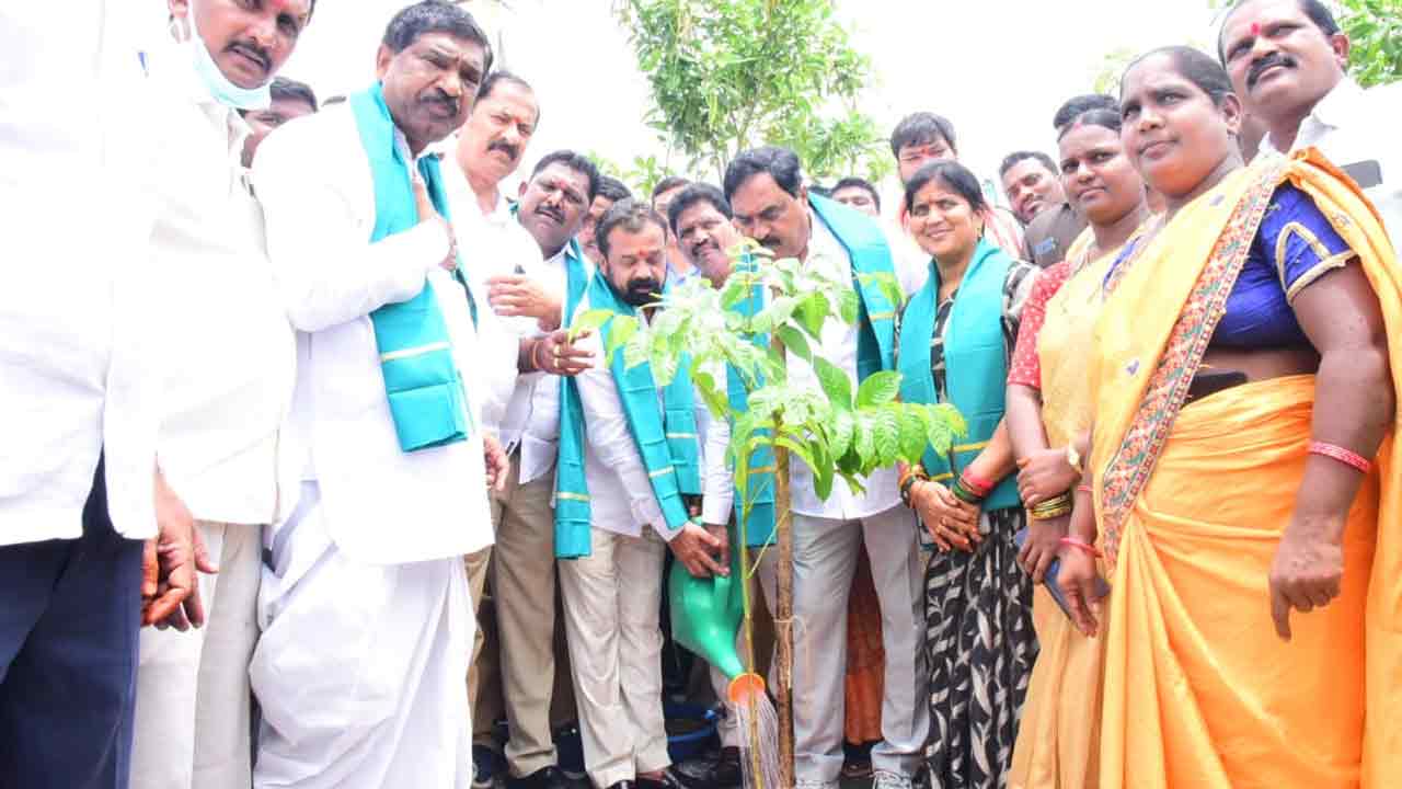 Warangal | నిరాడంబరంగా మంత్రి కేటీఆర్ పుట్టినరోజు వేడుకలు.. గ్రామ‌గ్రామాన మొక్క‌లు నాటిన టీఆర్ఎస్ శ్రేణులు