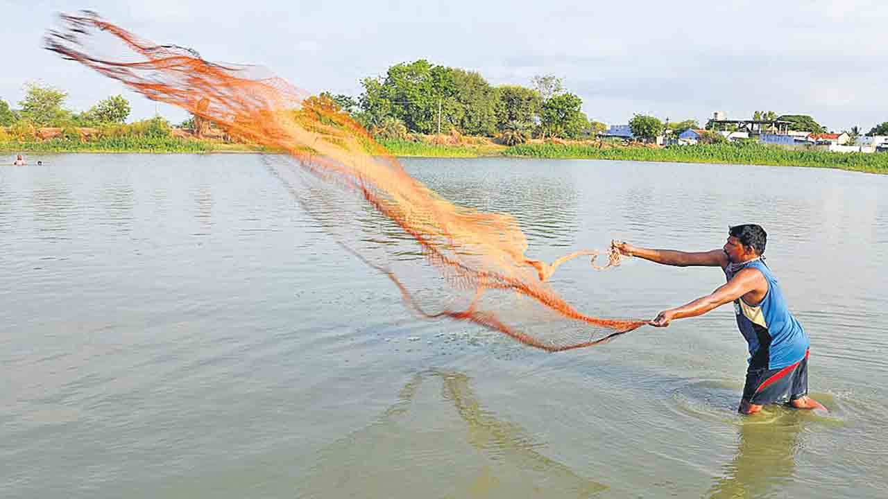 మత్స్యసొసైటీల్లో ఆ మూడు కులాలు