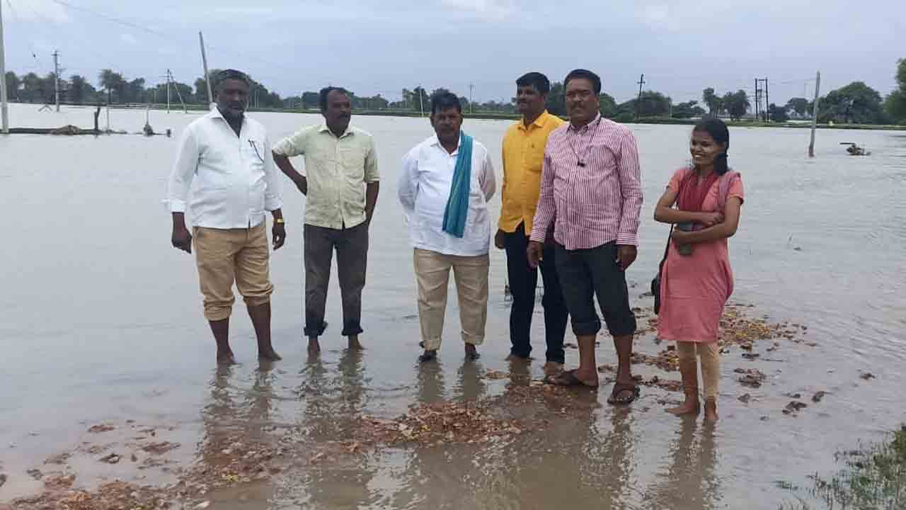 ఉమ్మడి జిల్లాలో 11,615 ఎకరాల్లో పంట నష్టం