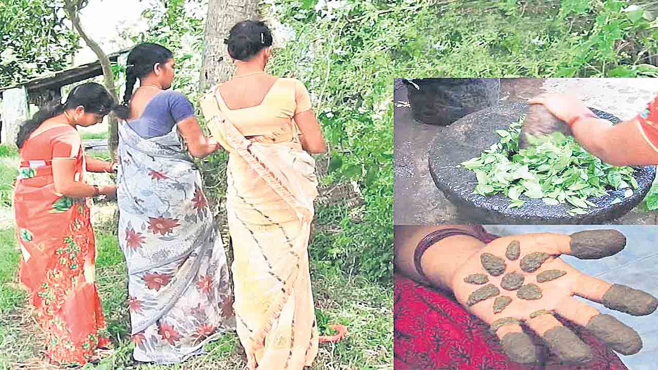 ఆషాఢానికి అందం మైదాకు